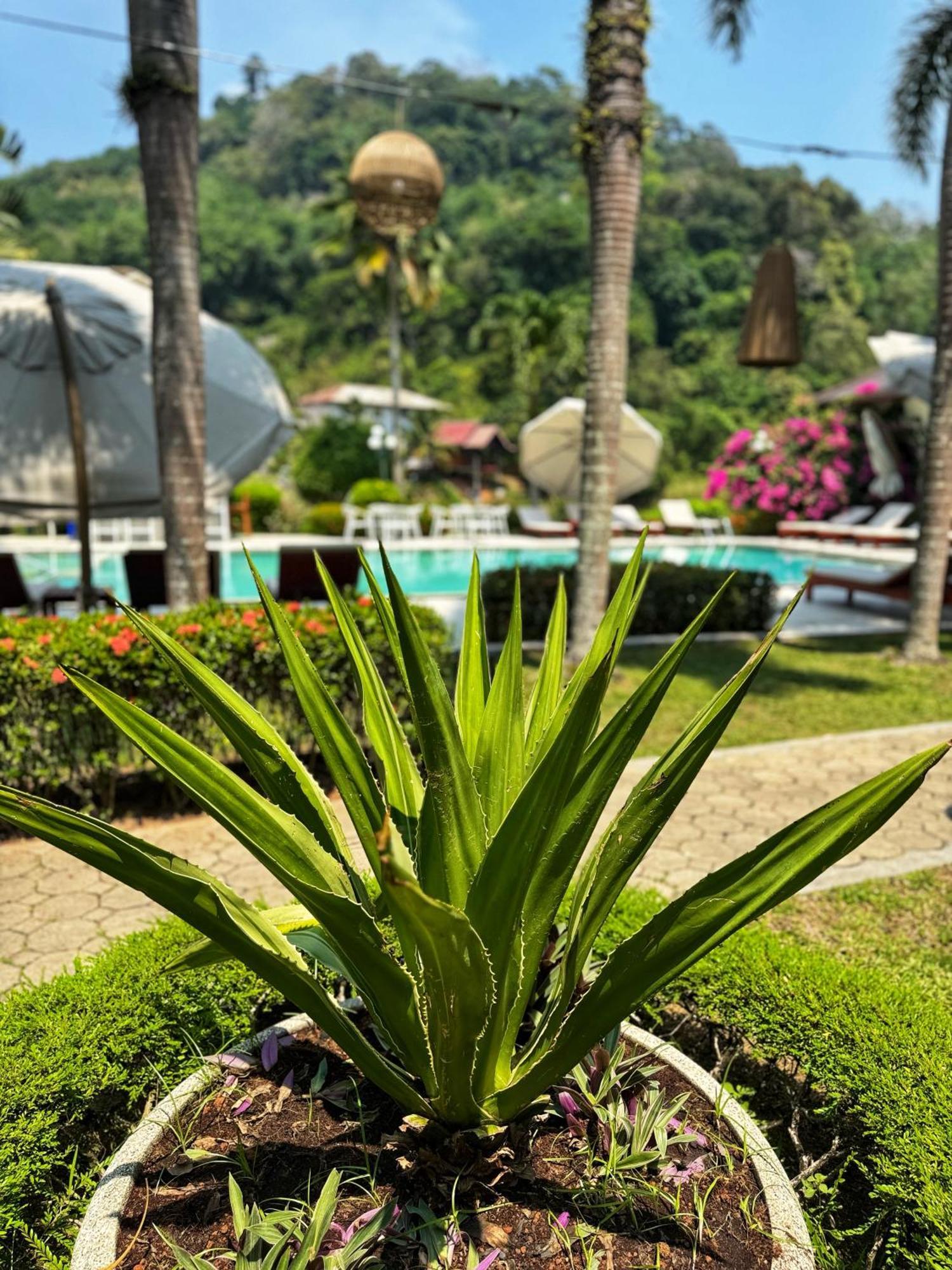 Serenity Lakeside Resort Kathu Dış mekan fotoğraf